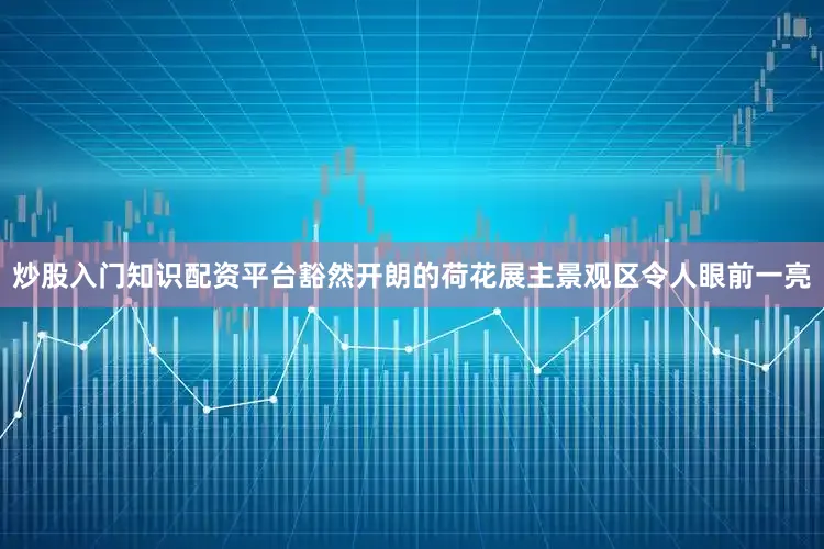 炒股入门知识配资平台豁然开朗的荷花展主景观区令人眼前一亮