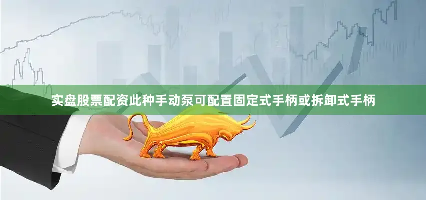 实盘股票配资此种手动泵可配置固定式手柄或拆卸式手柄